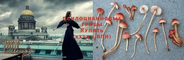 мдма Нефтекумск