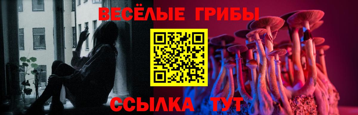 Галлюциногенные грибы мицелий  Псилоцибиновые грибы мицелий  Вход с VPN  Кинель 