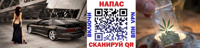 kraken зеркало  darknet состав  Кинель  Бошки марихуана OG Kush  где найти наркотики 