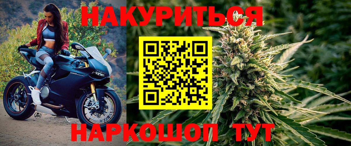 Каннабис OG Kush  Кинель  Конопля Amnesia 